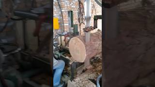 Wood cutting woodworking woodwork maker sawmill wood woodworker fun modeling techniques [upl. by Ulberto]