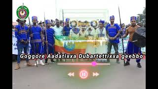 Gedeo Cultural music goggore 2024 [upl. by Ollecram]