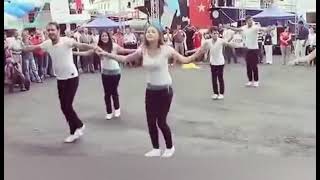 أغنية و دبكة رقص كردية سريعة Song and quick Kurdish dance [upl. by Able]