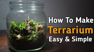 How To Make Terrarium  Easy And Simple🌱 [upl. by Spatola375]