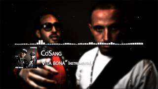 CoSang  Vita bona Instrumental [upl. by Libenson289]