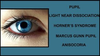 PUPILLIGHT NEAR DISSOCIATIONHORNERS SYNDROMEMARCUS GUNN PUPILANISOCORIA [upl. by Hellah547]