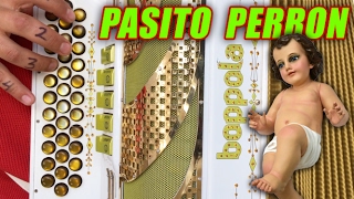 Pasito perron acordeon [upl. by Aicssej]