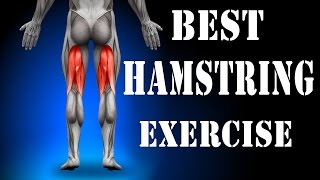 Best Hamstring Exercise [upl. by Zirkle103]