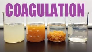 Coagulation of Colloids [upl. by Koffman]