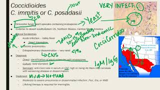 Coccidioides ParacoccidioidesTalaromycosis Penicillium [upl. by Klepac]