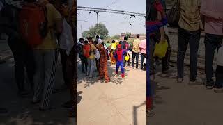 jungle ke rajamata sherawali chandidevi kalka shorts youtubeshorts trending 532 [upl. by Gipps]