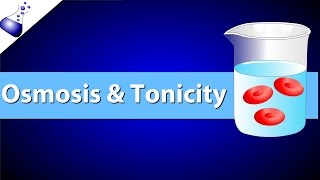 Osmosis and Tonicity [upl. by Jb349]