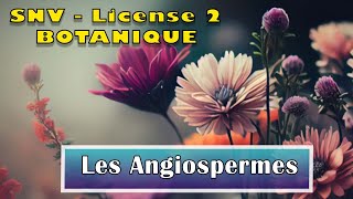 SNV Licence 2  Botanique cours 4  Les Angiospermes [upl. by Haelhsa]