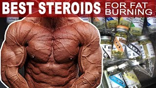 The Best Steroids For Burning Fat [upl. by Aisyla]