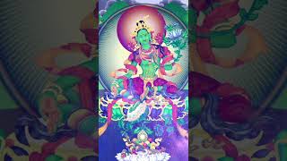 Green Tara Mantra  Om Tare Tuttare Ture Soha  綠度母 多羅菩薩 心咒 [upl. by Arral269]