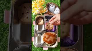 Burger lunch box 🍔🍱 Ushnaabbasi subscribe food chocolate ushna support comment share [upl. by Eilyak]