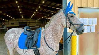 Pluto Sabella IV doing a Dressage Musical Freestyle I love my Lipi SO much Lipizzanexperience￼ [upl. by Emina]