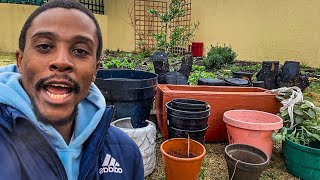 Container Gardening The Different Types Crops To Grow amp How to get Started Gardening South Africa [upl. by Aenat441]