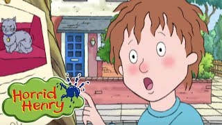 Horrid Henry  Peter Loses Fluffy  Videos For Kids  Horrid Henry Episodes  HFFE [upl. by Anais221]