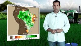 Agrônomo Responde clima afeta produção de café no Brasil [upl. by Dianna738]