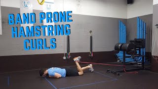 Prone Hamstring Curls with Resistance Band [upl. by Teraj]