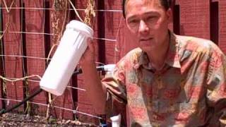 Watering your garden with Filtered Water Why I dont use chlorinated water to water my plants [upl. by Beka]