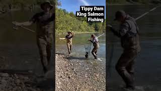 Fishing king Salmon at Tippy Dam  Michigan Oct2022 [upl. by Shepard]