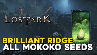 Lost Ark All Brilliant Ridge Mokoko Seed Locations [upl. by Alarise]