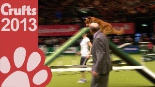 Agility  International Invitation  Large  Agility Finals  Crufts 2013 [upl. by Heim978]