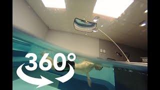 360 Endless Pool Swimming Half AboveHalf Below Water [upl. by Anaerdna]