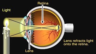 How the Eye Works Animation  How Do We See Video  Nearsighted amp Farsighted Human Eye Anatomy [upl. by Sotos112]