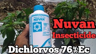 Nuvan Insecticide  Dichlorvos 76 EC  Insecticides india Ltd कीटनाशक [upl. by Mitchel]