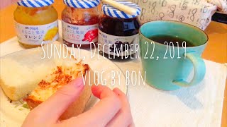 【vlog】卵焼きを焼いて朝ごはん、ドロップクッキーを作ってトートバッグも作る日常 のんびり主婦の毎日 [upl. by Nelrah]