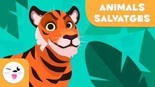 Els animals salvatges per a nens  Vocabulari per a nens en català [upl. by Enirok]