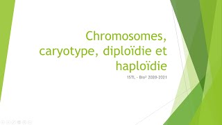 Chromosomes caryotype diploïdie et haploïdie [upl. by Nodababus]