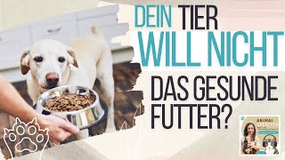 Du möchtest deinem Tier etwas Gutes tun aber es nimmt das nicht an [upl. by Wills]