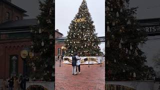 Xmas tree at distillery toronto trending viral shortsviral vlog subscriberxmas [upl. by Aicinet616]