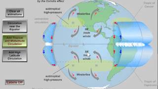 Hadley Cell ITCZ STHP and Trade Winds EASY EXPLANATION  A Level Geography 2024 [upl. by Manard]