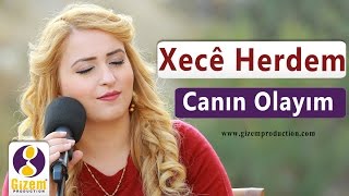 Xecê Herdem Canın Olayım Akustik [upl. by Koslo]