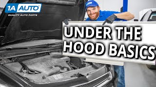 Under the Hood Basics Learn About the Stuff Under Your Cars Hood [upl. by Rairb]