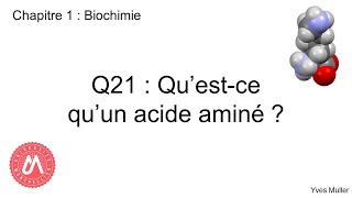 Chapitre 1  Biochimie  Q21  Questce quun acide aminé [upl. by Otreblon]