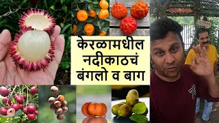 केरळामधील नदीकाठचं Farm House अशी बाग तुम्हाला बनवायला आवडेल का Exotic Fruits nursery Kerala [upl. by Simmonds769]