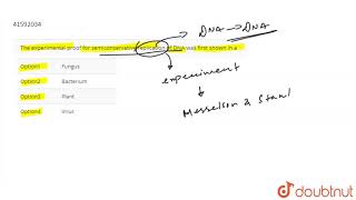 The experimental proof for semiconservative replication of DNA was first shown in a [upl. by Scurlock219]