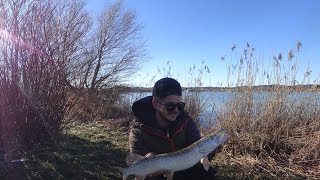 Hechtangeln im Winter auf Pose und Köderfisch [upl. by Elbys]