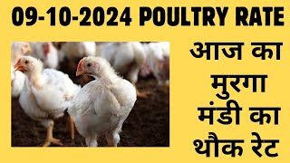 आज का थोक पौल्ट्री रेट  today poultry rateaaj ka murga mandi ka bhav in hindi Today broiler rate [upl. by Theurer]