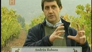 Vinos del Sur ChileArgentina  Bloque 3 de 6  The History Channel [upl. by Mable308]