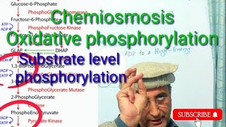 Chemiosmosis Substrate level and Oxidative phosphorylation ETC [upl. by Kahl]