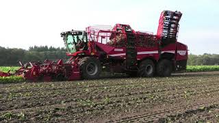 BIETEN ROOIEN 2021 GRIMME REXOR 6300 PLATINUM JOHN DEERE 7 R 350 CLAAS AXION 960 VGM [upl. by Devland]