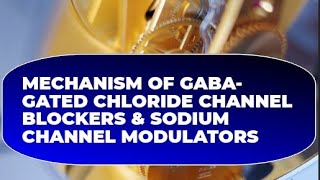 Mechanism of GABAGated Chloride Channel Blockers amp Sodium Channel Modulatorsentomology [upl. by Iridissa]