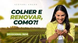 COLHER E RENOVAR COMO Devocional 38 stefaniancao [upl. by Genovera]