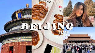 BEIJING VLOG 01 temple of heaven tiananmen forbidden city peking duck [upl. by Bergren]