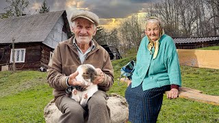 Happy old age of an elderly couple in a mountain village far from civilization [upl. by Ainer538]