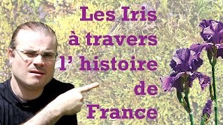 Les Iris à travers lhistoire de France [upl. by Ynoyrb]