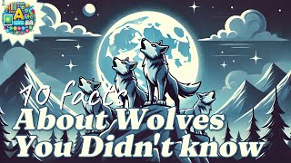 The 10 Most Amazing Facts About Wolves  Interesting Facts  Animal and insect facts 2024 [upl. by Yssim]